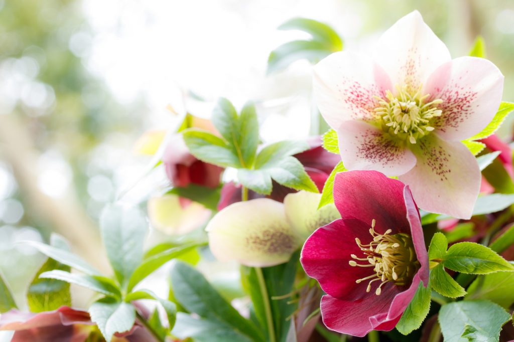 84fc987ec0191c93742b94619cb2a9